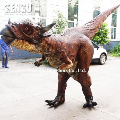 China exterior & Cheap Costume Indoor Realistic Sale Dinosaur Venue Mechanical Dinosaur Costume for sale