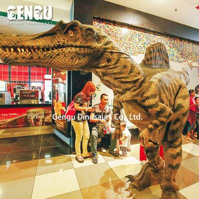 China exterior & Indoor Venues Costumes For Custom Dinosaur Show Costumes For Adults for sale