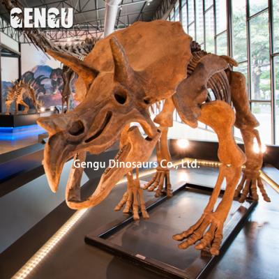 China High Dig Dinosaur Fossil Toys Dinosaur Exhibition Simulation Dinosaur Fossil for sale