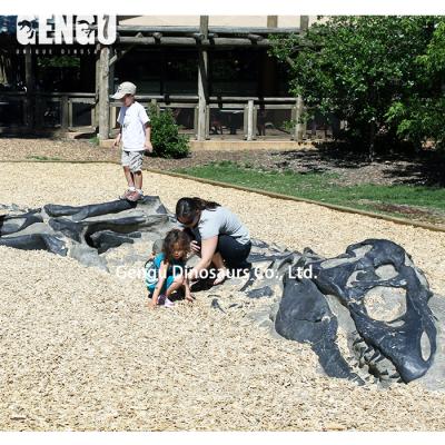 China Dig Dinosaur Fossil Toys Dinosaur Exhibit Good Quality Dinosaur Fossil for sale