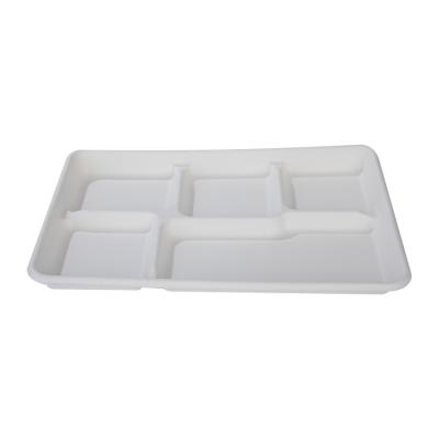 China Mordern 5 Compartment Disposable Biodegradable Sugarcane Bagasse Pulp Lunch Tray for sale