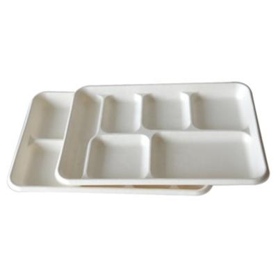 China Disposable Disposable Rectangle 5 Compartment Sugar Cane Baggase Tray for sale