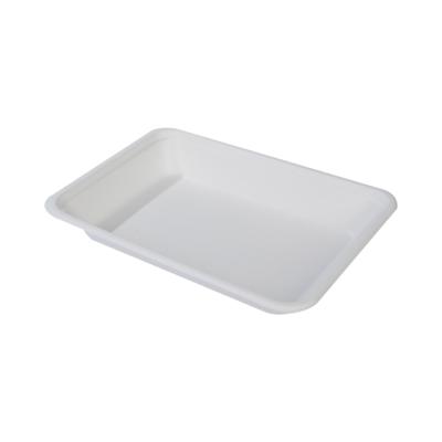 China Disposable Sugarcane Lunch Fast Food Biodegradable Disposable Serving Tray With Lid for sale