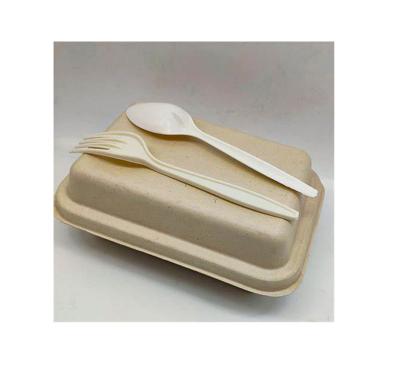 China Disposable Eco-friendly Biodegradable Disposable Dinner Sugarcane Bagasse Meat Tray With Lid for sale