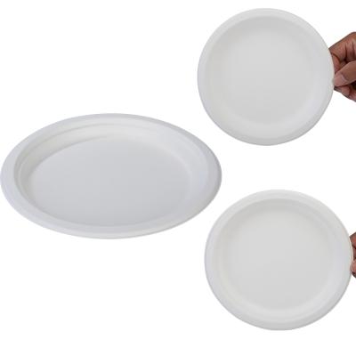 China Disposable Eco-Friendly Disposable Biodegradable Sugar Cane Bagasse Dishes Compostable Tableware for sale