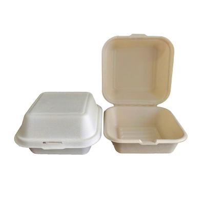 China Biodegradable Custom Sugarcane Pulp Disposable Clamshell Food Container Box for sale