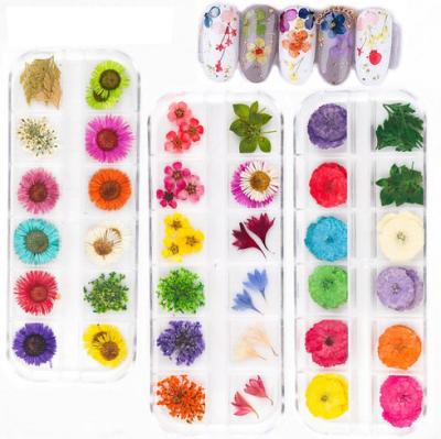 China Various Plastic Natural Dry Flowers For Nail Art Supplies UV Acrylic Gel Pressed 3D Flowers Manicure Decor for sale