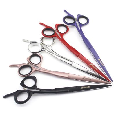 China 1pc Professional HAIR Hair Scissors Hair Cutting Scissors for sale