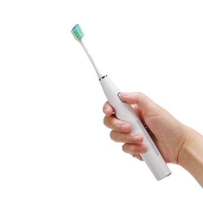 China Custom Multifuctional Multifuctional Good Quality Promotional Fashionable Electric Sonic Toothbrush for sale