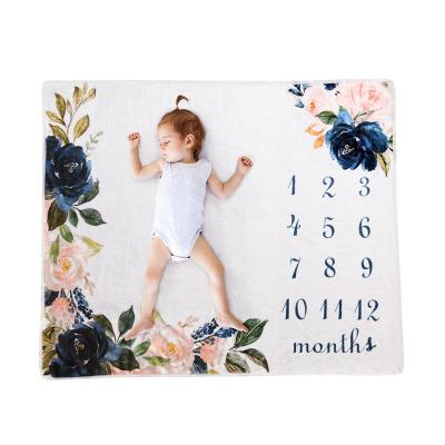 China PORTABLE Hot Selling Customized Minky Baby Monthly Milestone Blanket for sale