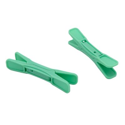 China Plastic Traditional Use Durable Strong Spring Clothespin Clips Pegs Hanger for sale