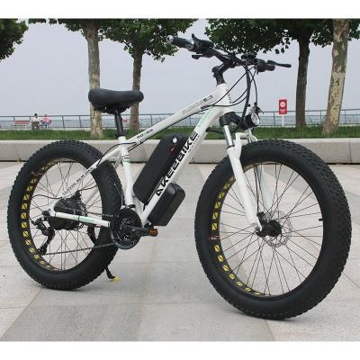 China Hot Selling Standard 26 Inch Lithium Battery 750w Brushless Motor Long 21 Speed ​​Electric Bike 13ah for sale