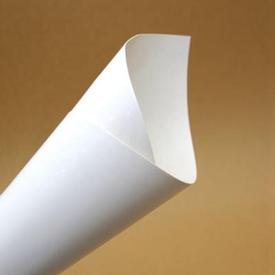 China Anticurl Hot Selling Custom Printed FBB White Folding Box Panel Ivory Paper Roll for sale