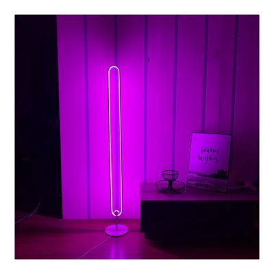 China Modern New Arrivals RGB Colorful Floor Lamp Lamo Led Standing Floor Light Modern Oval Floor Lamp For Home for sale