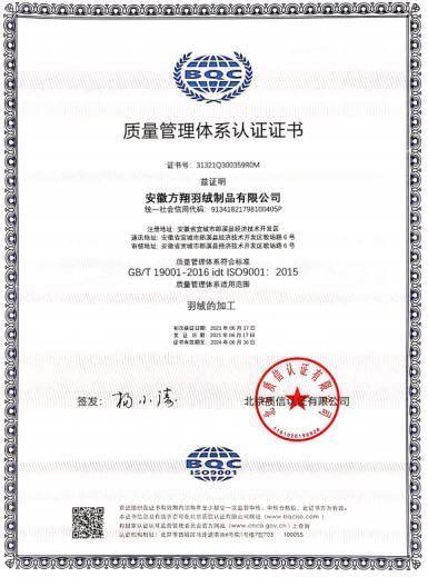 ISO9001 - Anhui Fangxiang Down Products Co., Ltd.