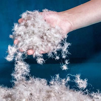 China Factory Direct Selling High Filling Power 75% High Big Fluffy Down Gray Goose Down Washed Filling Material for sale