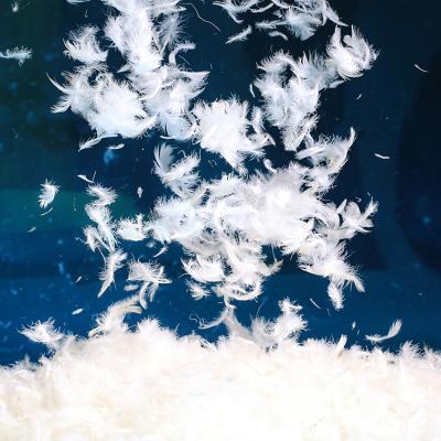 China White Goose Down 2-4Cm/4-6Cm RDS Certification Washed Light White Goose Down Feathers White Feather For Pillows Cushions Quilt Sleeping Bag for sale