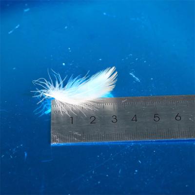 China Duck Down Wholesale White 2-4Cm Washed Duck Feather Natural White Duck Feather Down For Pillow Quilt Use for sale