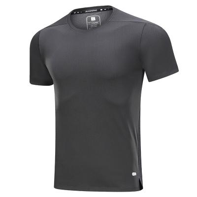 China Low MOQ Custom Logo Quick Dry Summer Gym Anti-Wrinkle Shirts For Mens Sports Wear Training T Shirt Men for sale