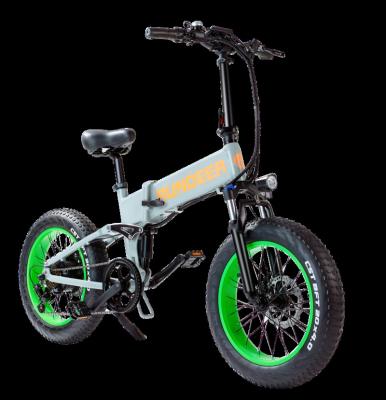 China Rundeer 48v 750w 20inch Aluminum Alloy Fat Tire Grade A Folding Electric Bike Included Removeable Battery for sale