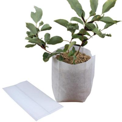 China Plant Growing 8*10cm White Color Non Woven Fabric Plant Nursery Biodegradable Breathable Bag for sale