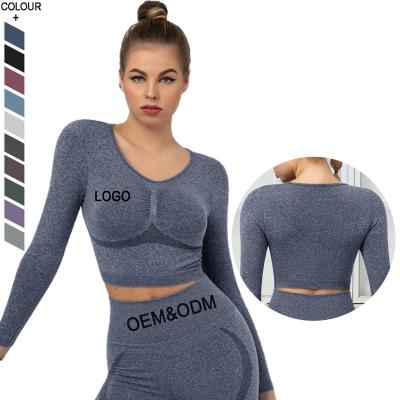 China New Antibacterial Quick Delivery Gym Shirt Fitness Crop Long Sleeve Workout Top for sale