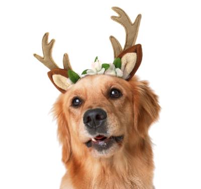 China Viable Christmas Dog Festival Deer Antler Headband For Cat New Design Party Decoration For Dog Cosplay Costume for sale