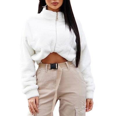 China 2021 fashionable Wholesale Anti-wrinkle crop hoodies women's wear zipper fleece pullover women's top hoodies for sale