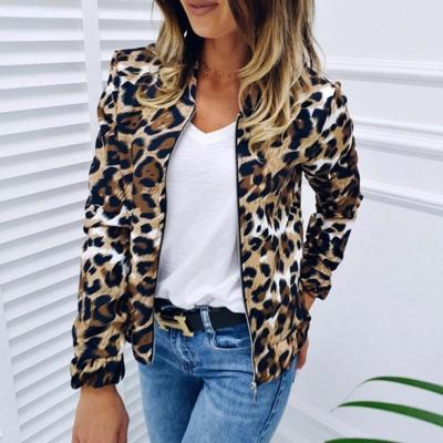 China Breathable Leopard Print Spring And Autumn Zipper Coats And Jackets Women Jacket for sale