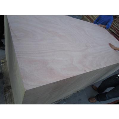 China Factory Price Interior Wood Veneer Construction Plywood With Sale for sale