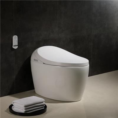 China Home hotel decoration adjustable water temperature one piece smart intelligent toilet for sale