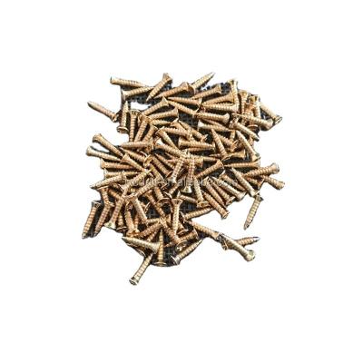 China Flat high quality screw for package box, gold screw for wooden box, metal screw for sale