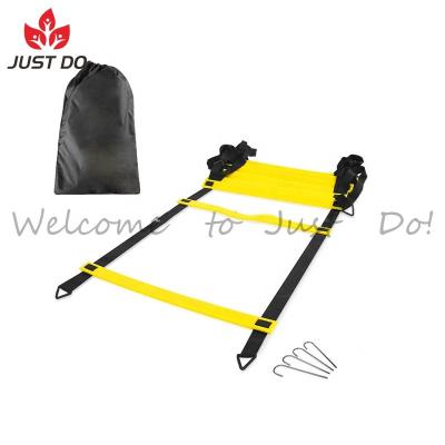 China Portable Handheld Sports Speed ​​Training Flat Ringed Agility Ladder With Carry Bag for sale