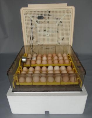 China Cultivate High Quality JN96 Mini Egg Incubator Chicken Incubator with CE Certificate for Poultry Egg Incubator for sale