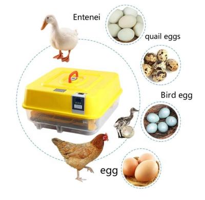 China JN42 Fully automatic multifunctional automatic hatcher duck egg incubator chicken hatcher poultry hatcher poultry incubator machine for sale