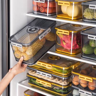 China Other Airtight Plastic Kitchen Fridge Refrigerator Organizer Cabinet Freezer Pantry Storage Container Bins And Boxes With Lid for sale