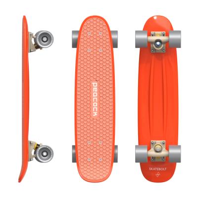 China 2021 New Arrival Kids Skatebolt Peacock 24 Inch New Design Custom Deck OEM/ODM Skate Boards Mini Silicone Skid Pad For Kids for sale