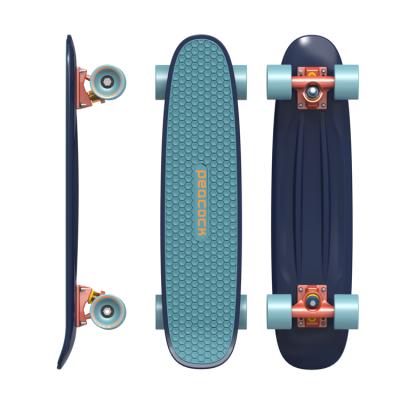 China 2021Newest Children's EU warehousePeacock Cheap Penni Board 24 In 4 Wheels Deck Mini Cruiser Plastic Skateboard For Custom Boys And Girls for sale