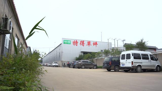 Verified China supplier - Hebei Tede Artificial Turf Co., Ltd.