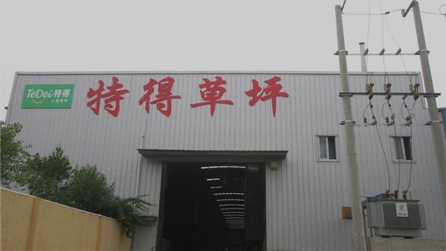 Verified China supplier - Hebei Tede Artificial Turf Co., Ltd.