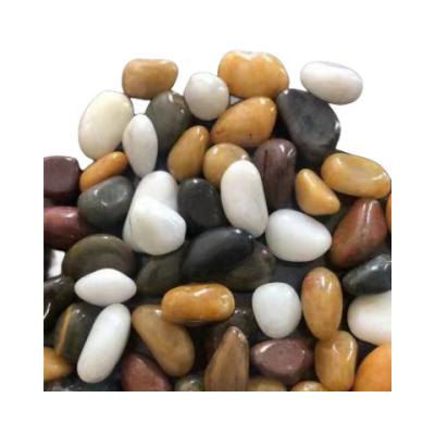 China Modern mixed polished stone colored landscaping pebbles for sale