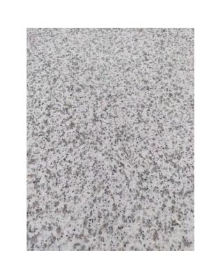 China Modern Gray Granite G603 Natural Stone Polished Garden Street Outdoor Paving Stone for sale