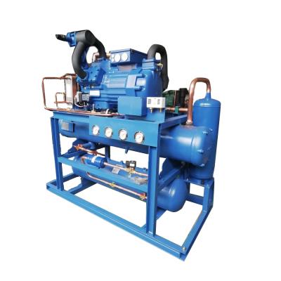 China Hotels Refrigeration Condensing Compressor Used For Cold Storage Freezer Room Freezing Condensing Unit for sale