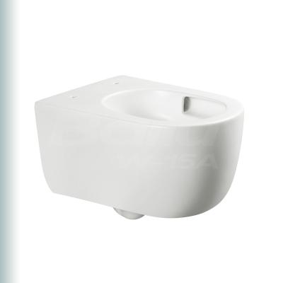 China Hidden Single Spout D Shape Tank BAILU W-15A Luxury Toilet Small Colorful Around D Shape Wall Between Europe And Japan Style HungToilet for sale