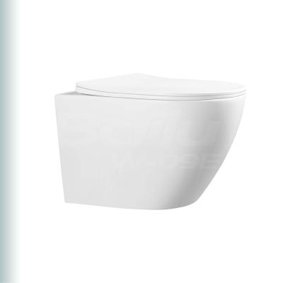 China BAILU W-09E Hidden Tank Porcelain Wc Small Sanitary Ware Bidet Series Set P-trap Hedges Cleaning Black Wall One Piece Hung Toilet for sale