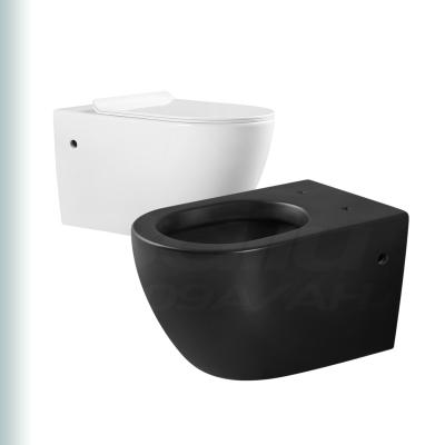 China One-Piece Hidden Black Wall Hung Toilet Reservoir BAILU W-09A Porcelain Wc Bathroom Sanitary Ceramic Series Black P-trap Porcelain Ware for sale