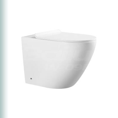 China BAILU W-09B Round Shape Toilet Cistern Floor Standing Toilet Hidden Bathroom Ceramic Toilet High Quality European Concealed Sanitary Ware for sale