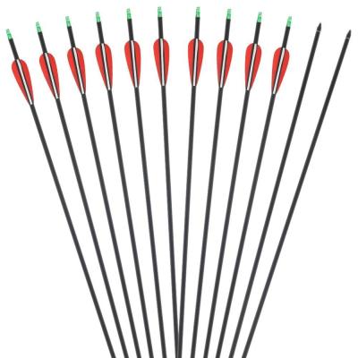 China Wholesale Plastic Carbon Arrow Spine Vane Nock Steel Point 500 Archery Pure Carbon Shaft Hunting for sale