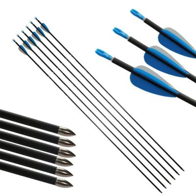 China Hunting Archery Vane Nock Steel Point Custom Plastic Color Hunting Pure Carbon Arrow Shooting for sale