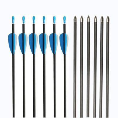 China Wholesale Vane Nock Steel Point 500 Plastic Spine Pure Carbon Arrow Hunting for sale